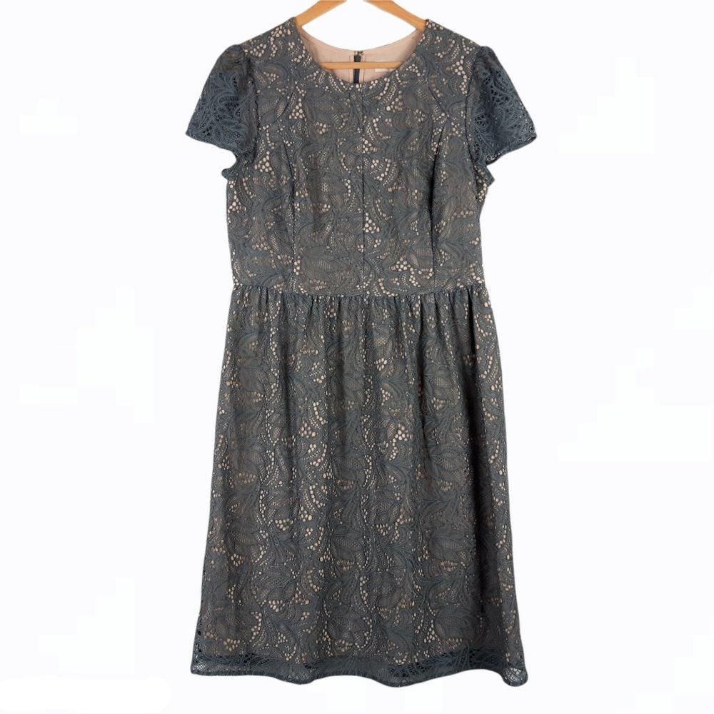 Loft Lace Floral Cap Sleeve Dress Size 6